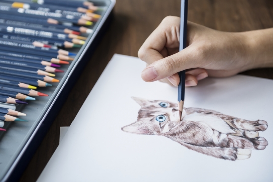 Принципи малювання з використанням олівця. Дев'ять основних правил малювання.