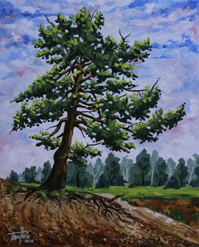 Tree on the slope