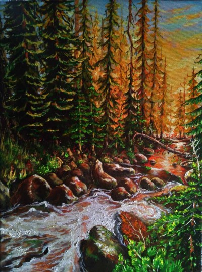  Landscape of a stream in the forest