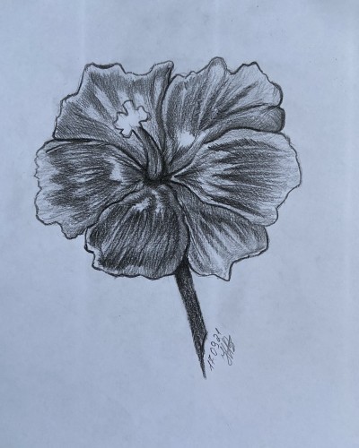 Квітка