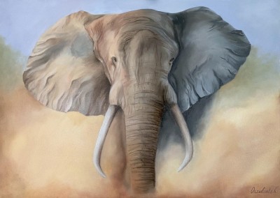 Африканский слон 