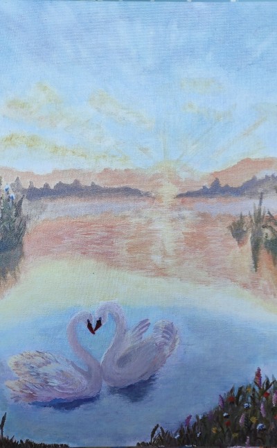 Закохані лебеді на заході сонця 