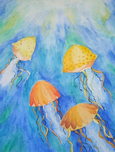 Sea mushrooms
