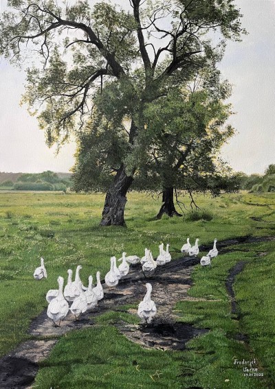Ukrainian geese