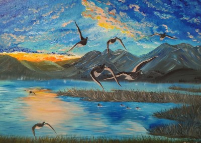 Дикие утки на озере