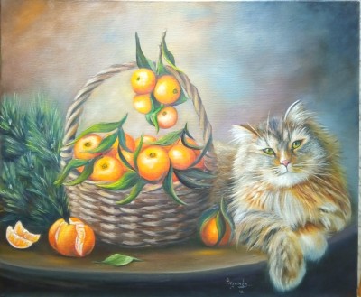 Tangerine cat 