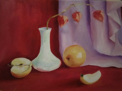 Still life with physalis and apples