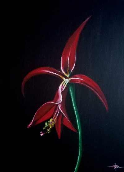 Aztec lily