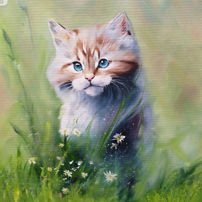  Cat in oil paints