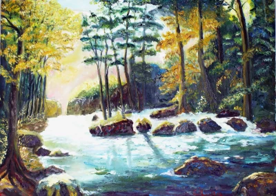  Forest river