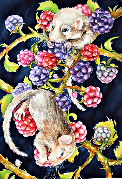The mouse  in raspberries