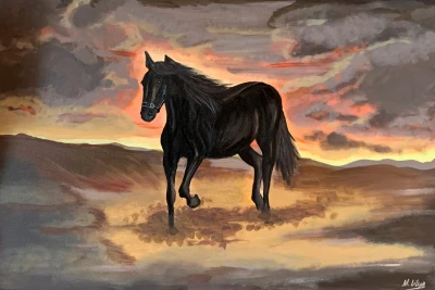 Чорний кінь в пустині