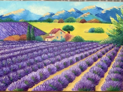 Lavender field. Provence