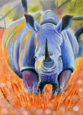 Сафарі з носорогом