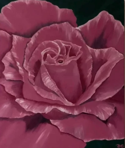 Royal rose