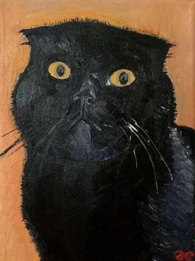 Black cat Zhulik, Julian Black
