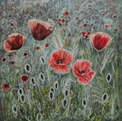Poppies in the evening field