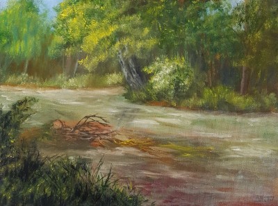 Річка у лісі