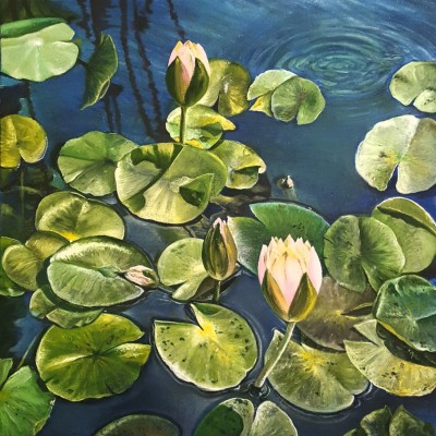 Lilies in the pond