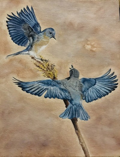 Две синие птички