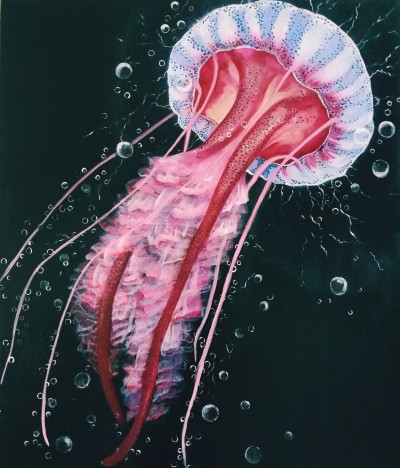 Яркая медуза