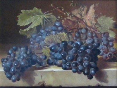 Чорний виноград
