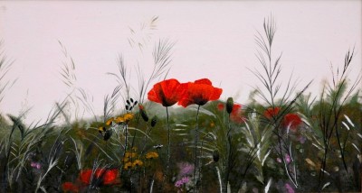 Poppies in the steppe