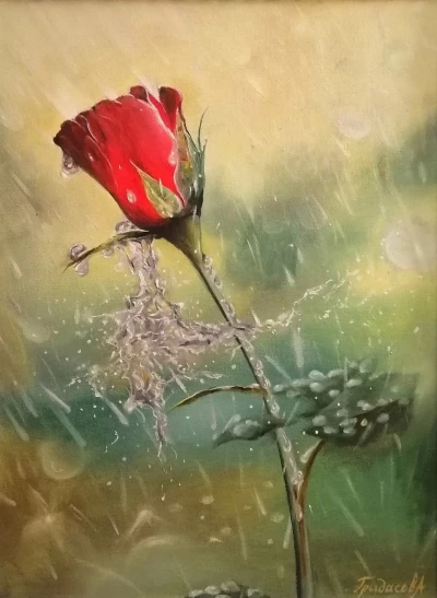 Цветы. Роза под дождем